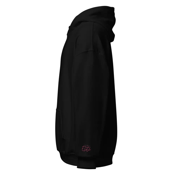 Elite Exclusive Discreet Signature Hoodie product image (1)