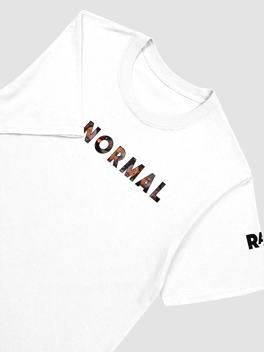 Be Normal product image (27)