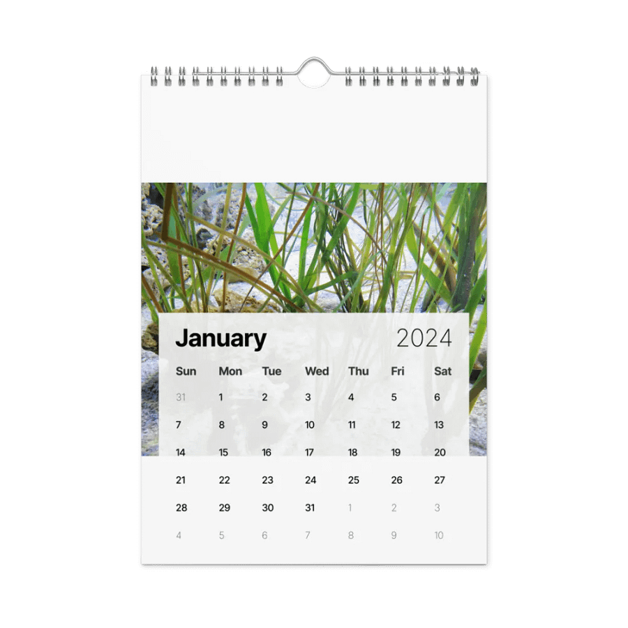 new years product image (15)