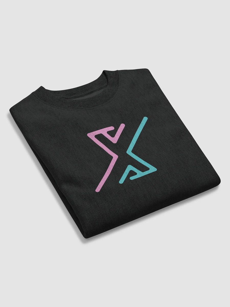 Pink&Teal CHAMPION sweatshirt product image (6)