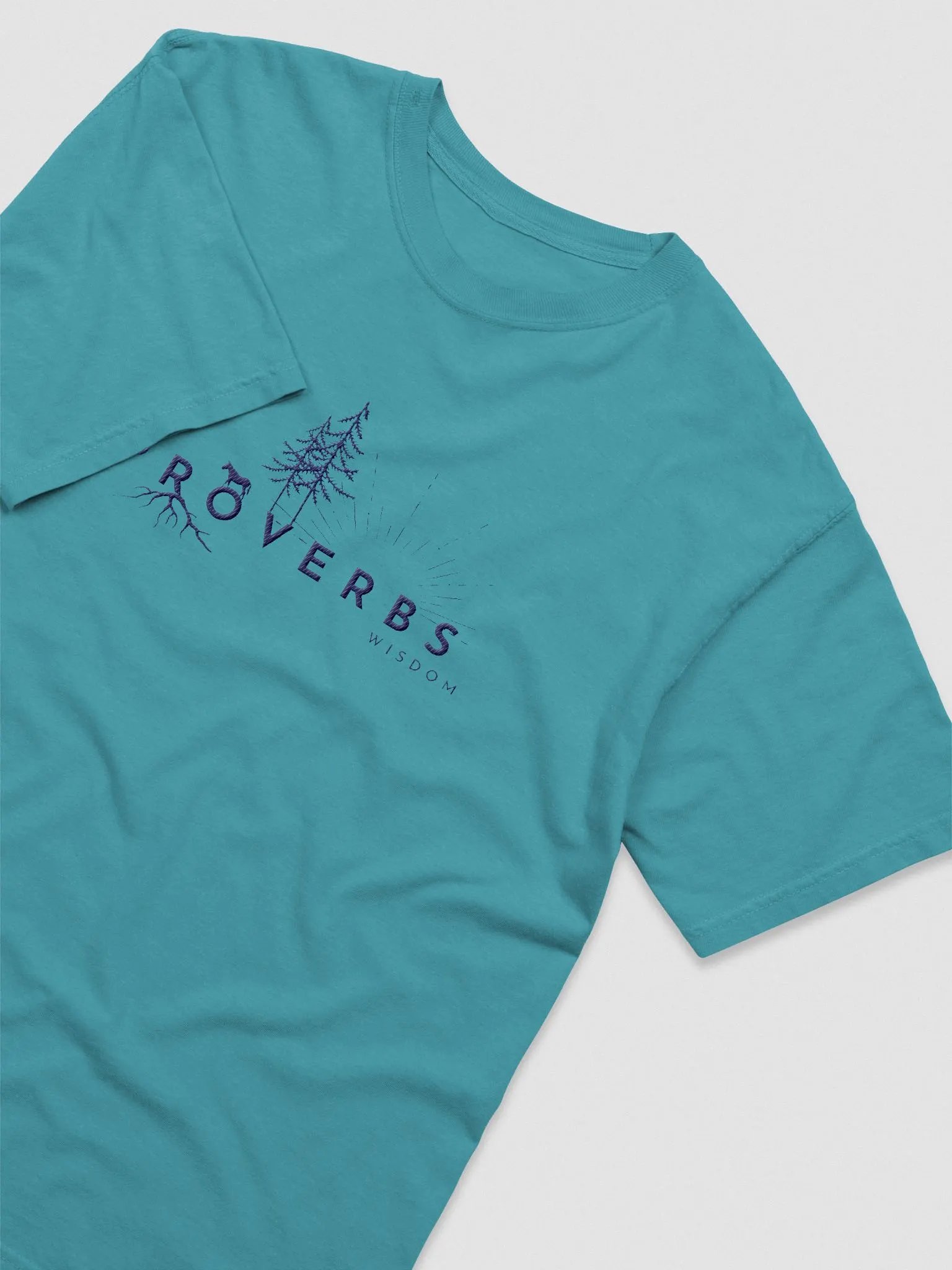 Proverbs Wisdom Comfort Colors Tee product image (1)