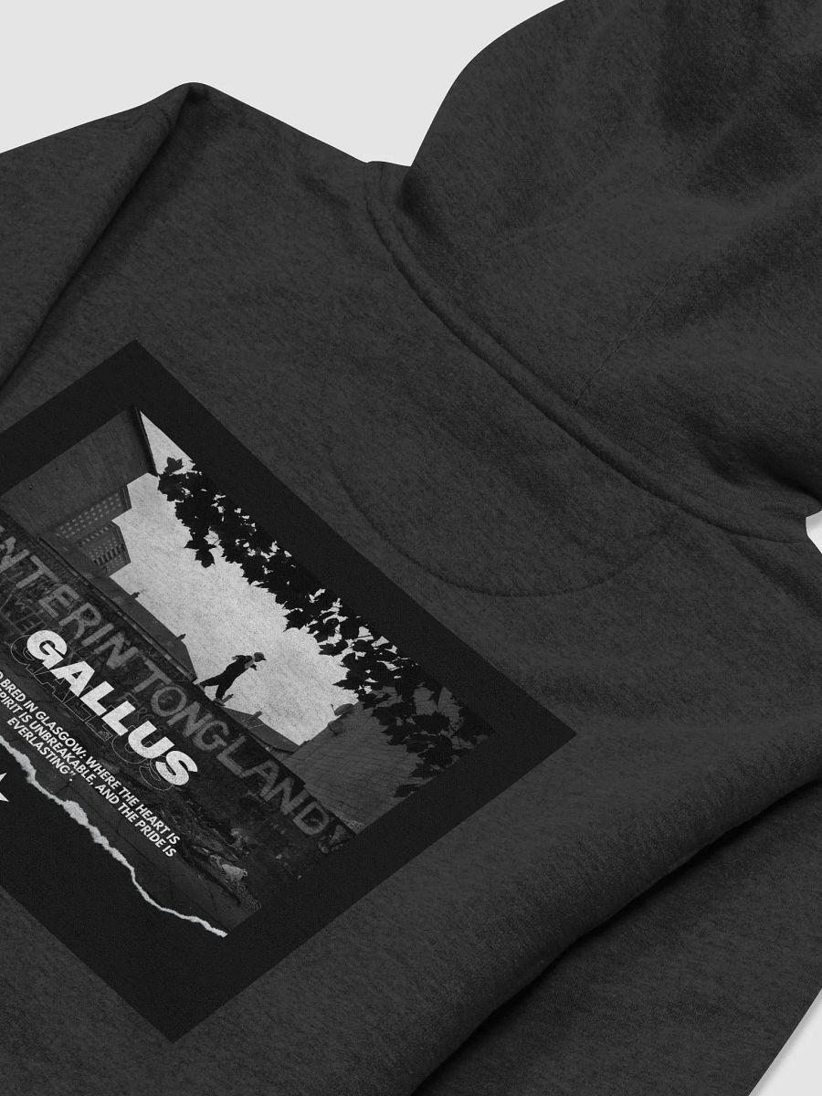 Gallus Hoodies product image (4)