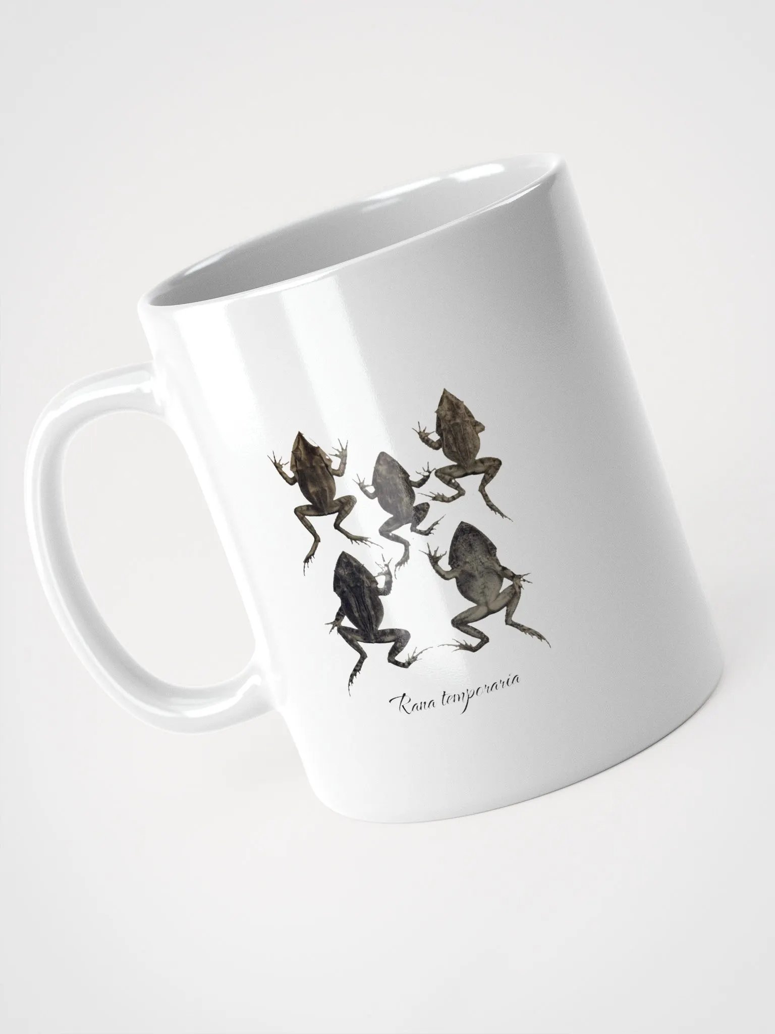 Rana Temporaria - Vintage Frog Design product image (5)