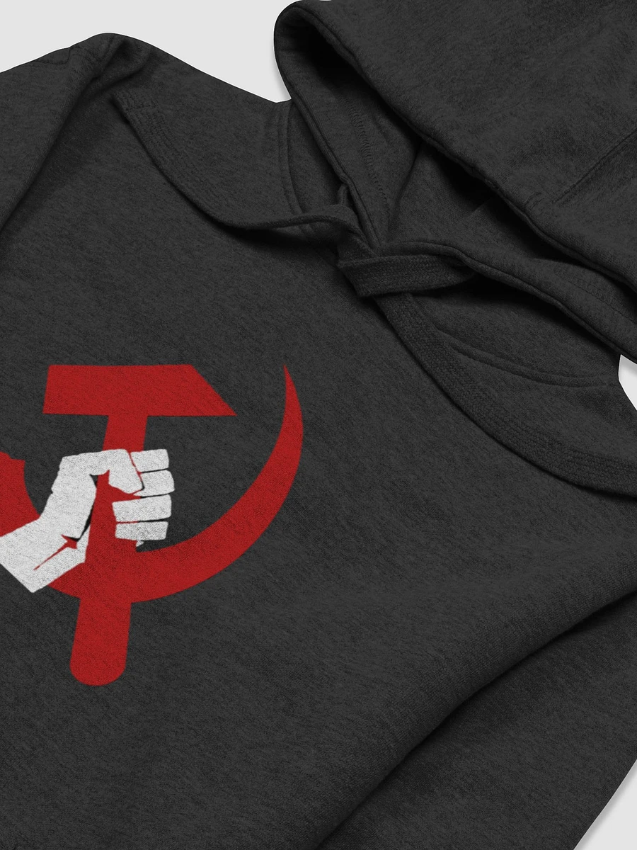 The Red Scare Hoodie product image (2)