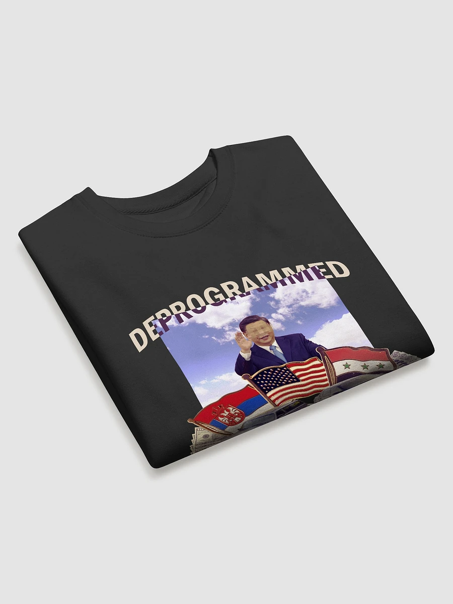 Deprogram Unhinged - Sweatshirt product image (10)