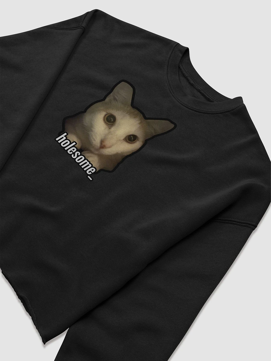 holesome Nico cropped sweatshirt product image (21)