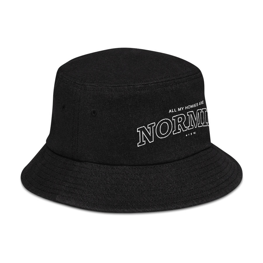 All of My Homies are Normies - Bucket Hat product image (3)