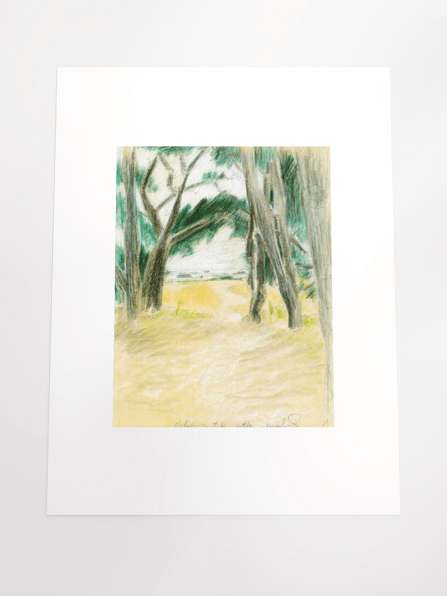 Mackerricher State Park, CA 09.02.86 print product image (5)