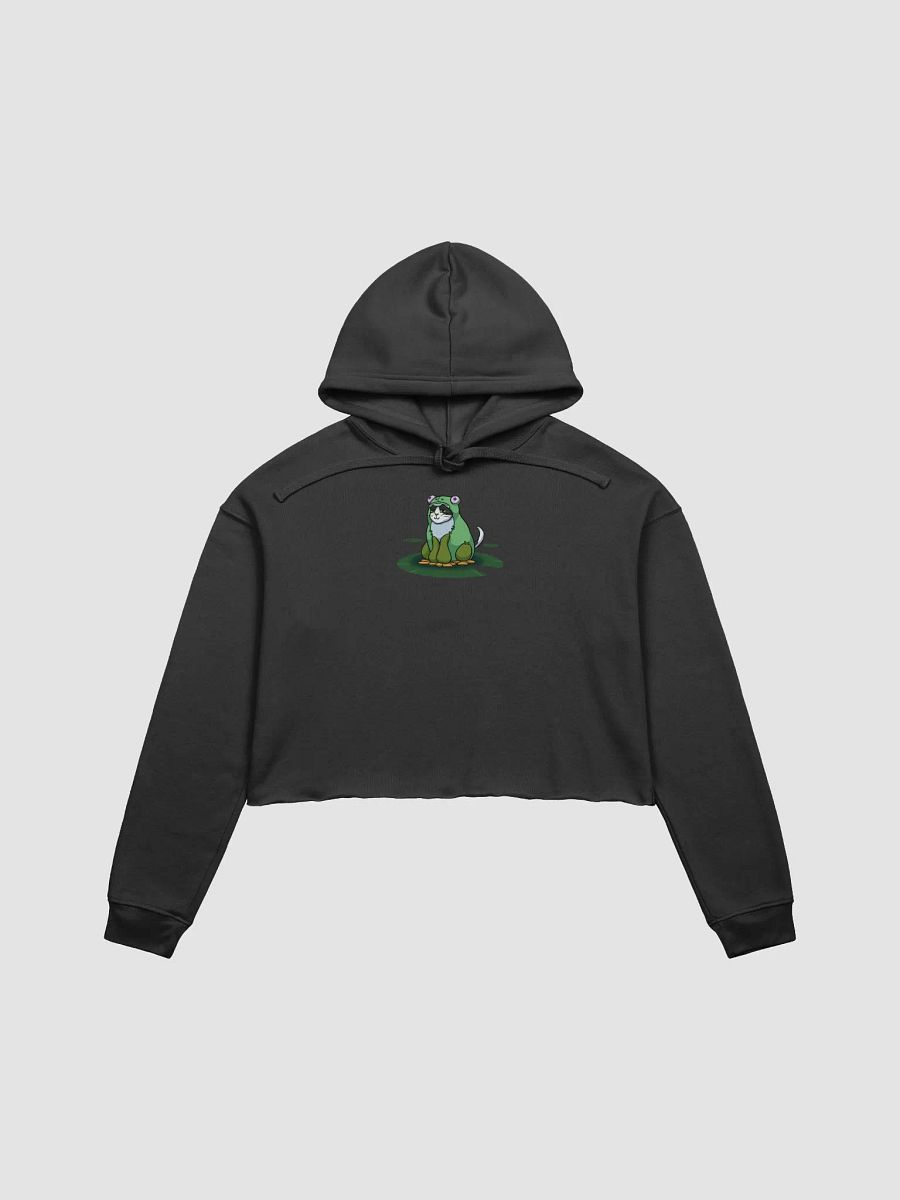 Beeg Frog Crop Top Hoodie product image (2)