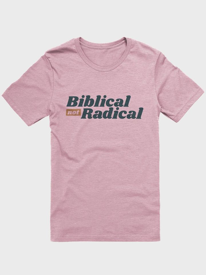 Women's T-Shirt: Biblical Not Radical (more colors available) product image (1)