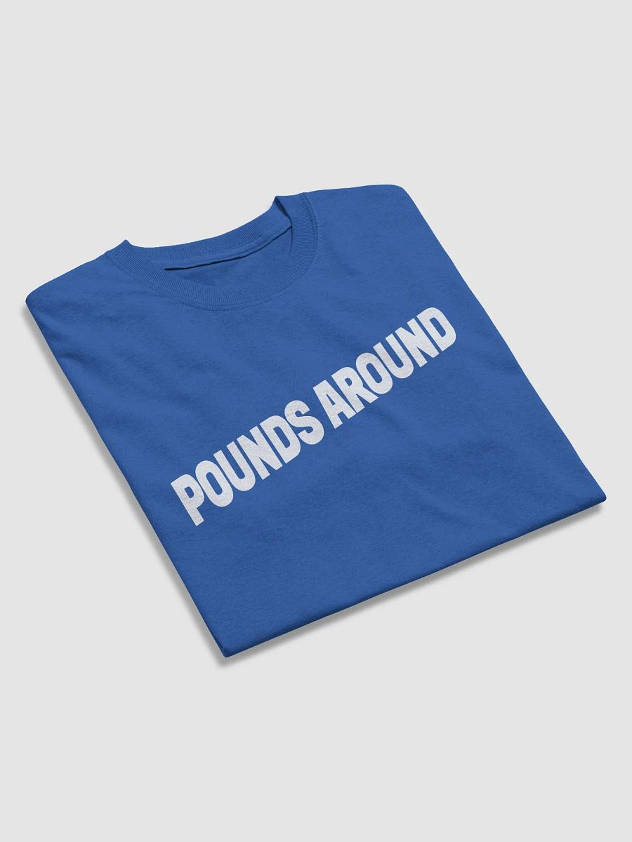 POUNDS AROUND BLUE AND WHITE SHIRT product image (3)
