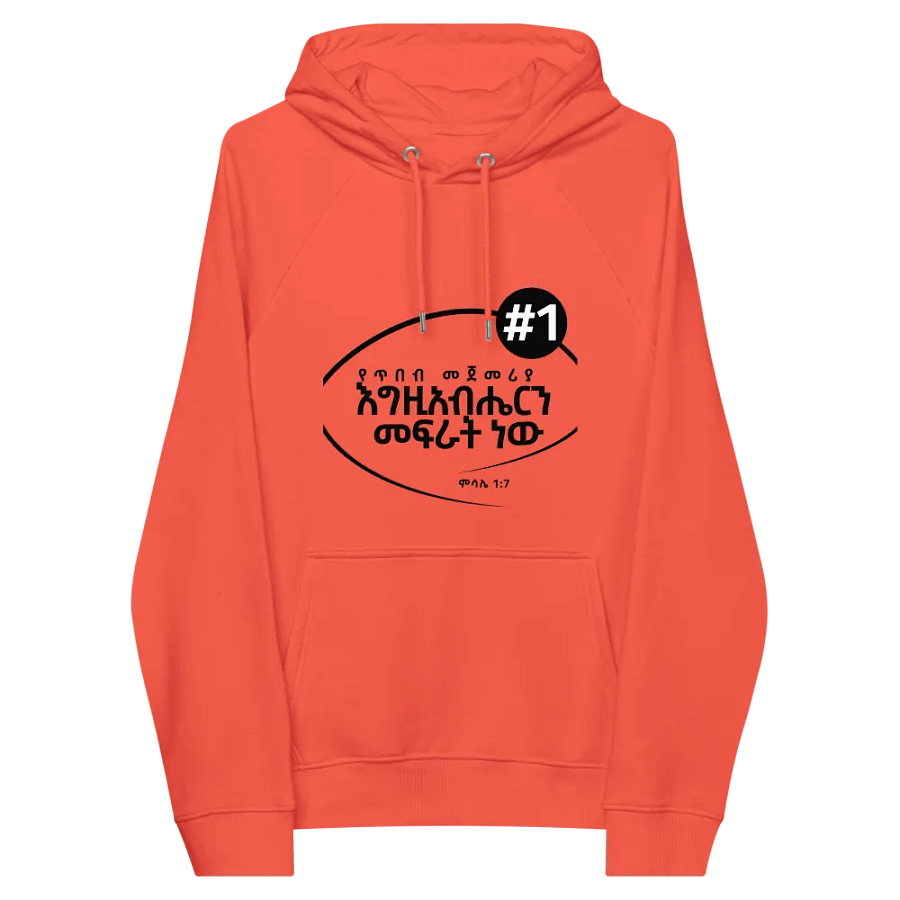'Proverbs 1:7' Hoodie product image (5)