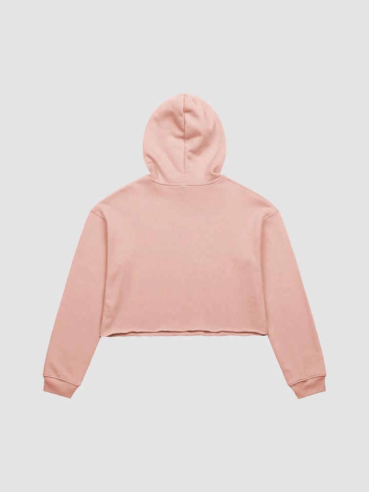 Embracing The Norm Crop Hoodie product image (2)