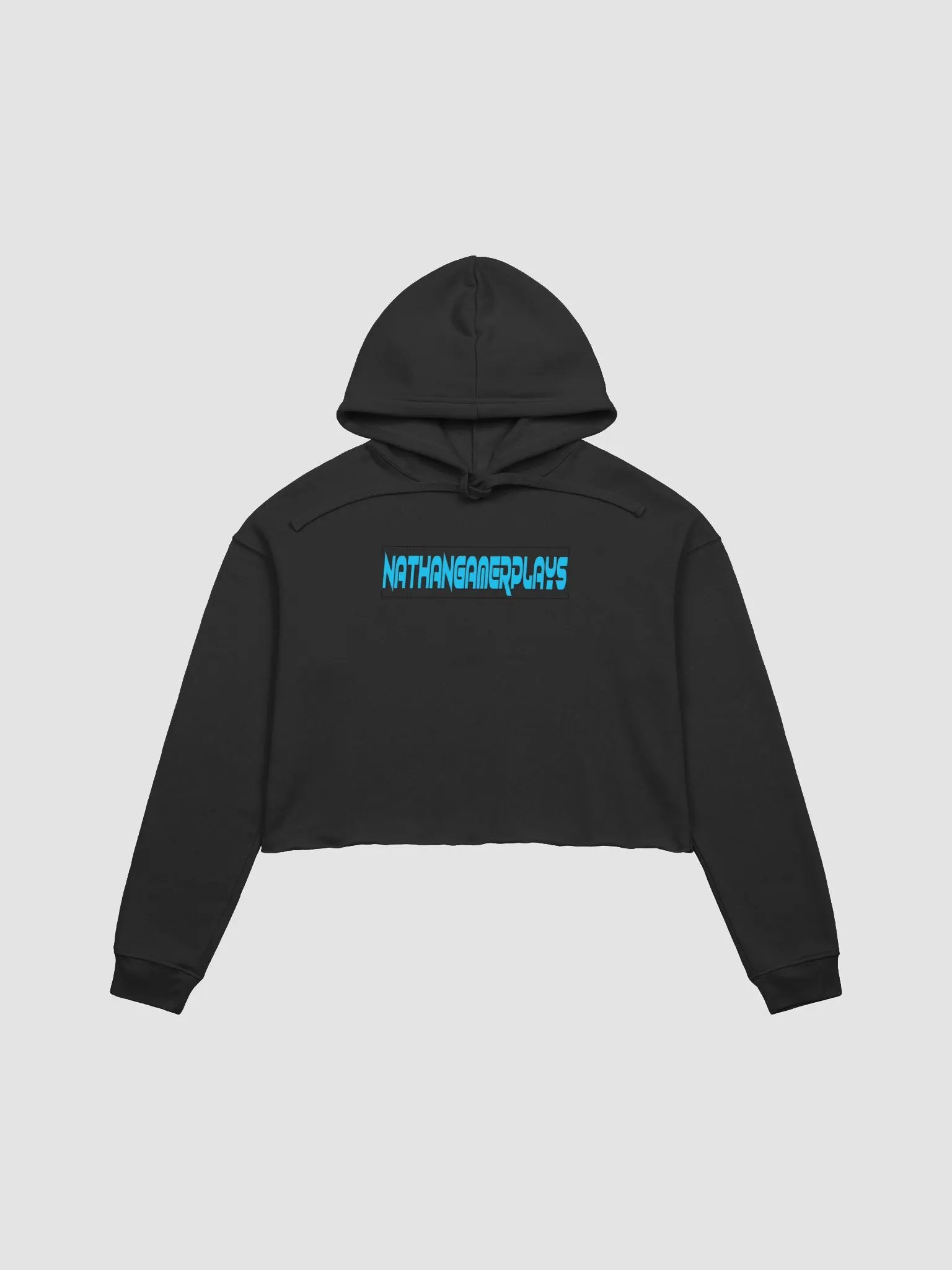 NathanGamerplays Hoodie product image (3)