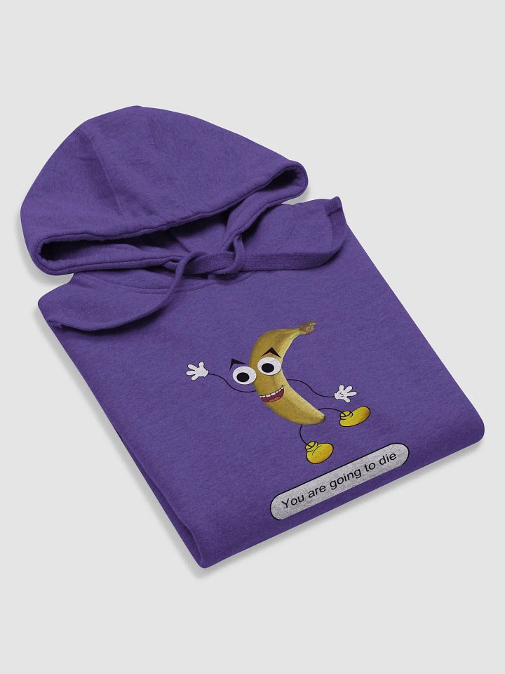 What I say to my characters | Cotton Heritage Unisex Premium Hoodie product image (2)