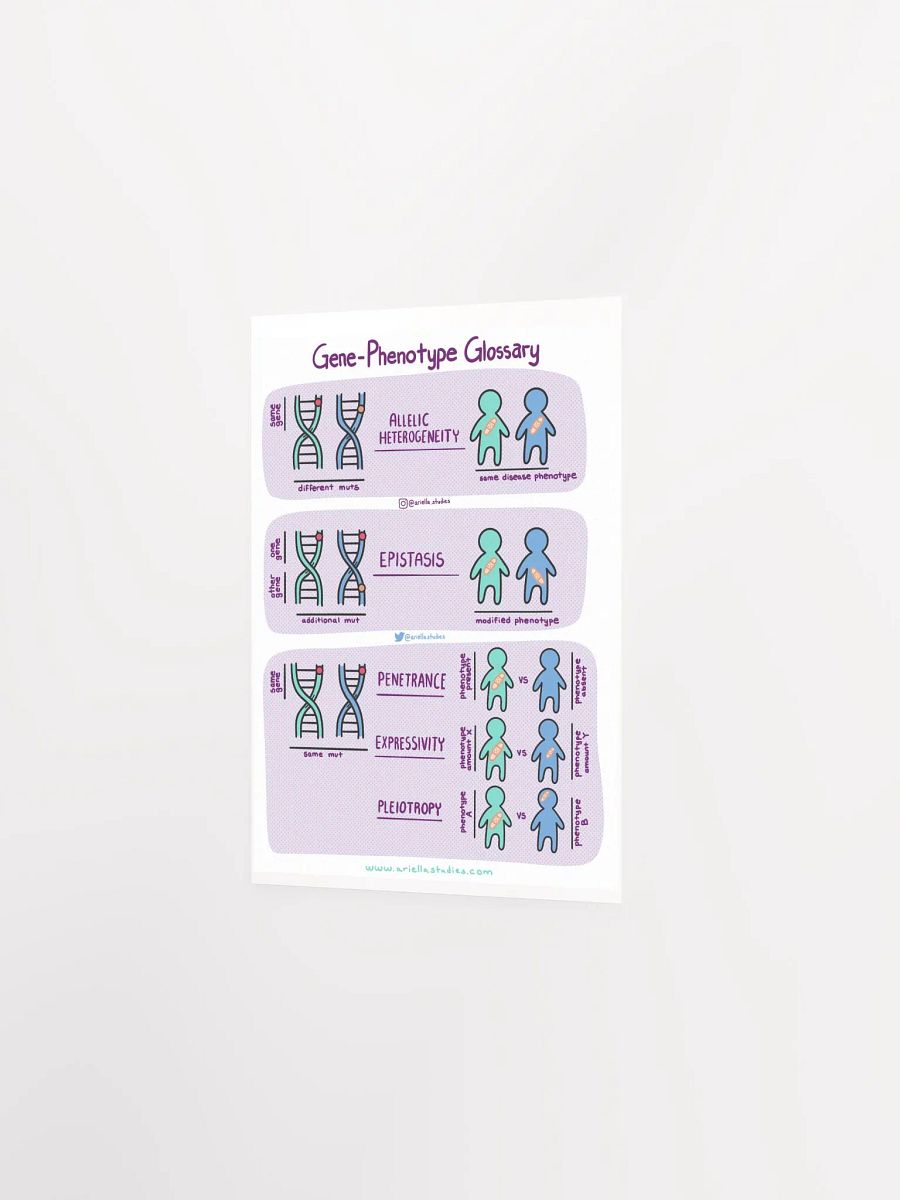 Gene-Phenotype Poster product image (2)