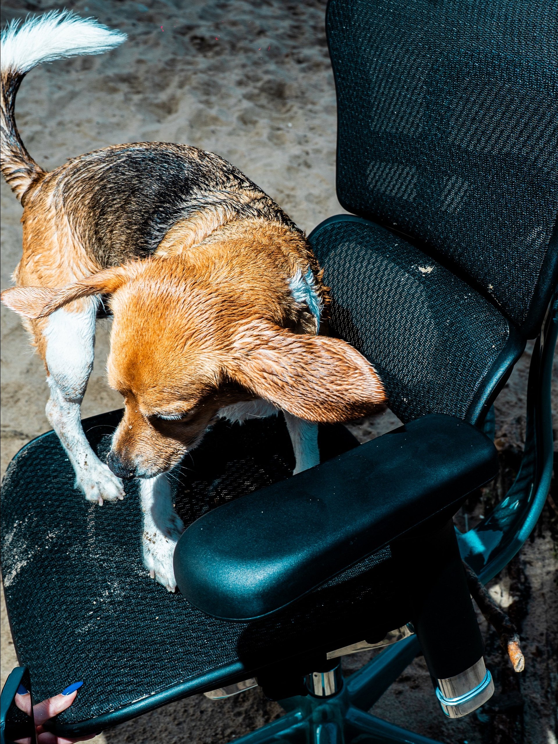 Mermaid Candy product image (9)