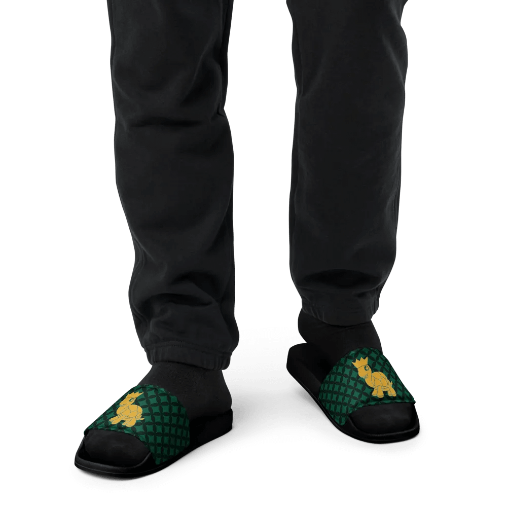 Crowned Turtle Men's Slides product image (12)