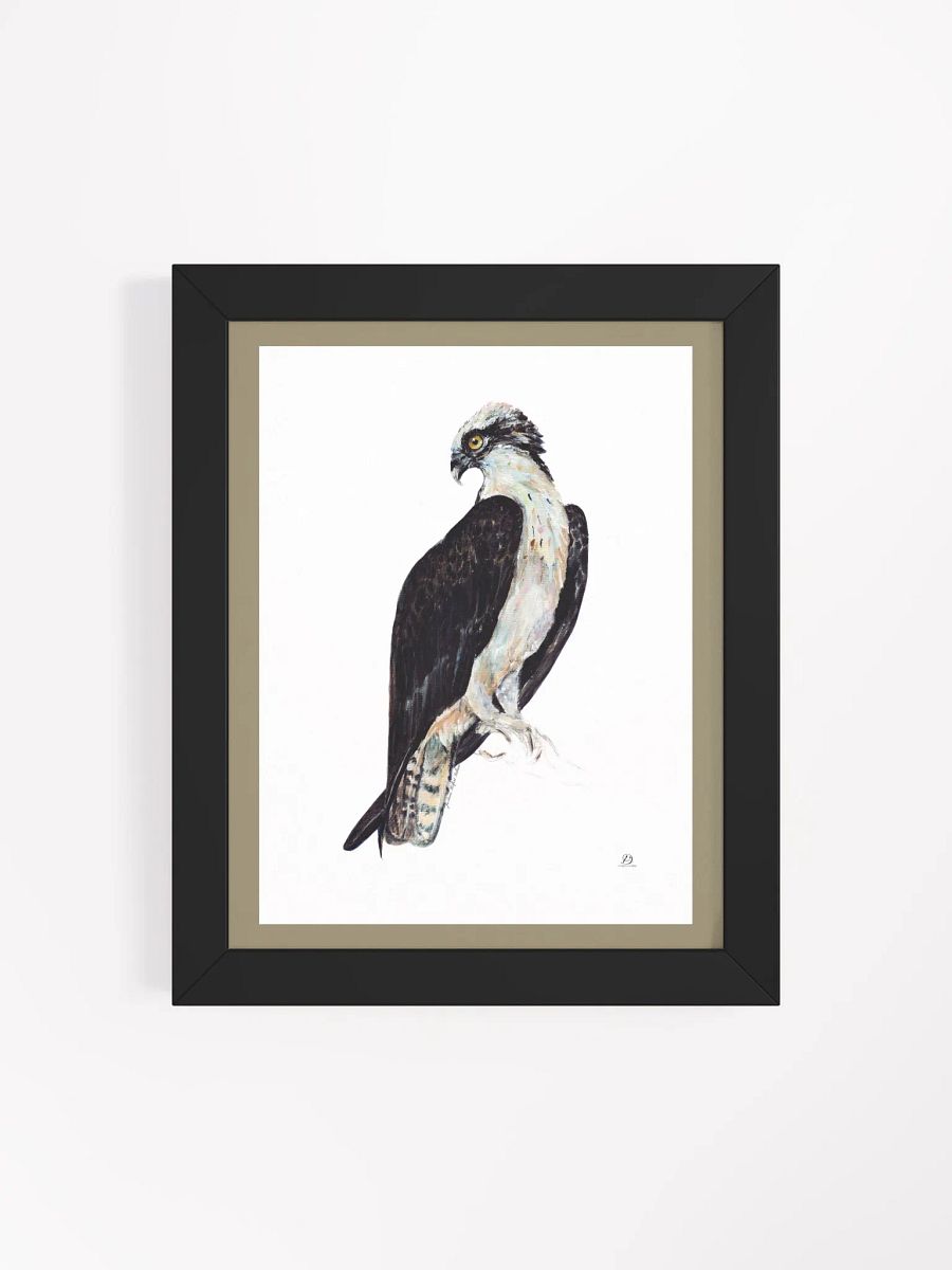 Osprey poster: Empower product image (4)