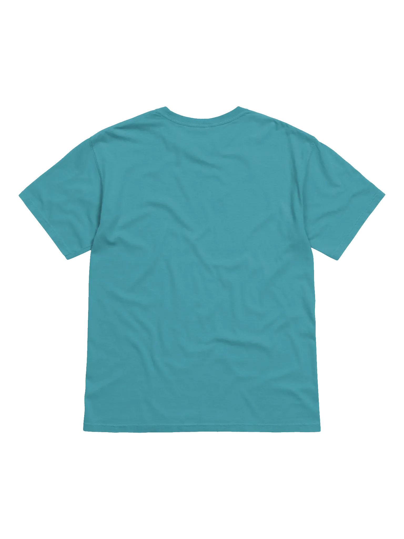 Today is the Day Shirt (loud) product image (6)