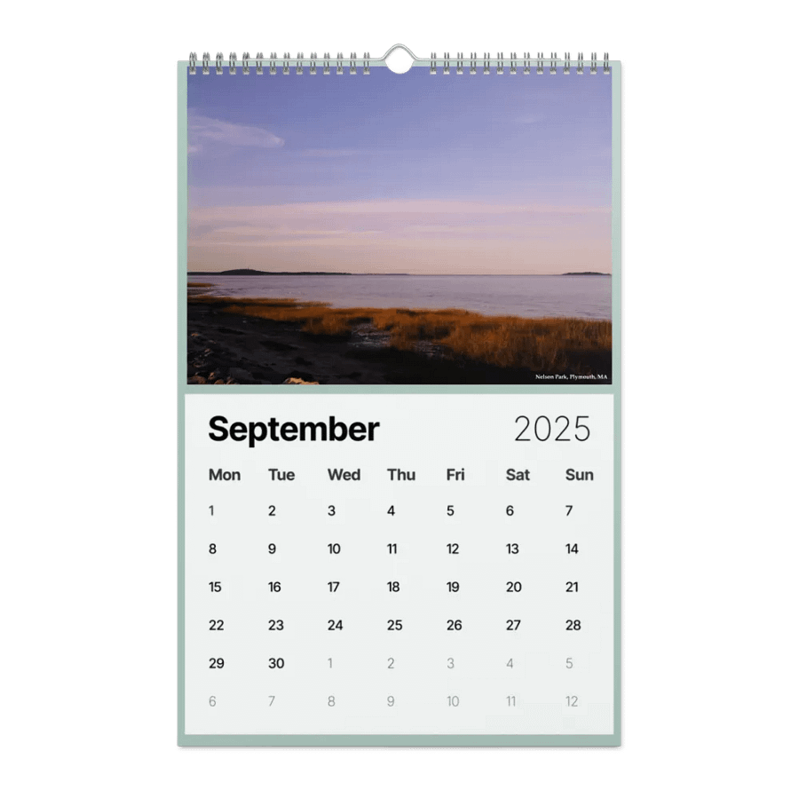 2025 calendar product image (9)