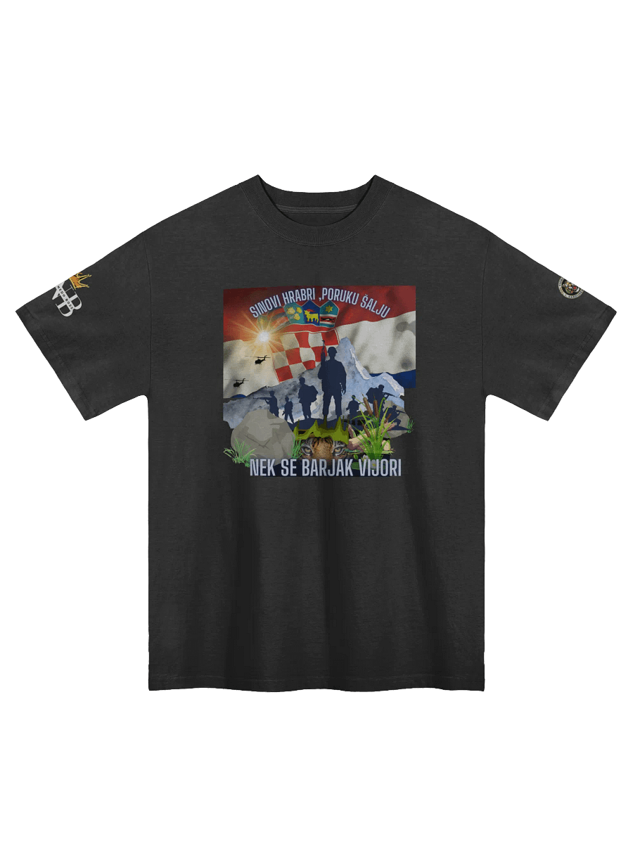 Crowned PNB Oversized Faded T-Shirt Tigrovi Oluja95 product image (1)