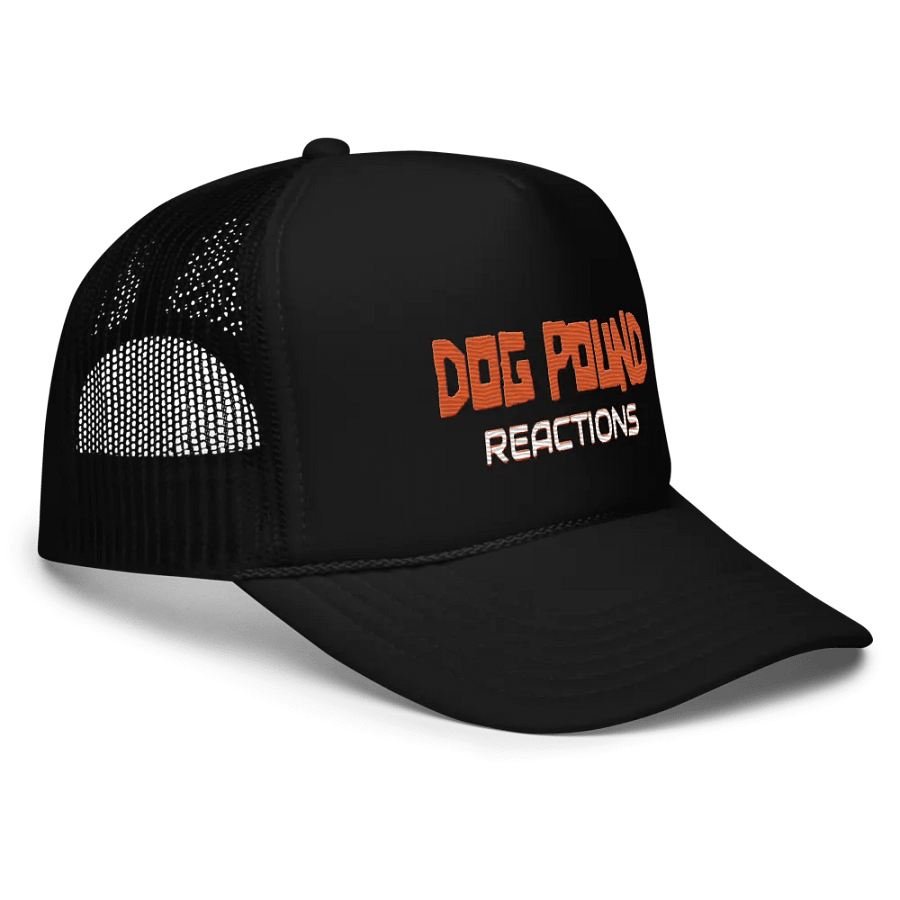 DPR Logo Hat product image (3)