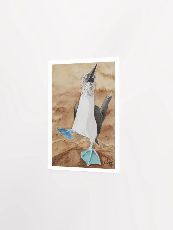 Blue Footed Booby Print product image (2)