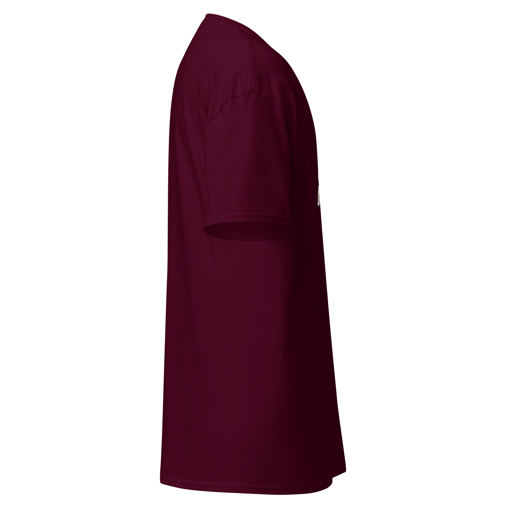 Whimsical Turkey Meow T-Shirt product image (48)