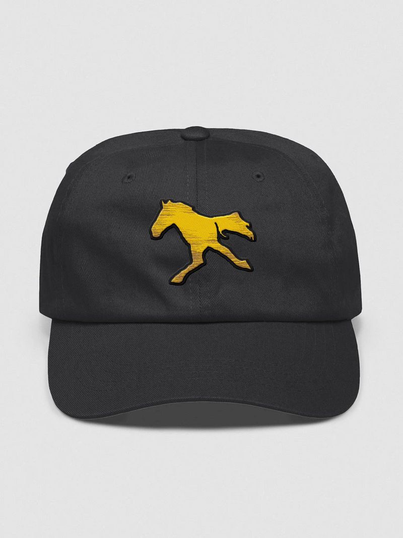 The Horse Run Monthly - Embroidered Hat