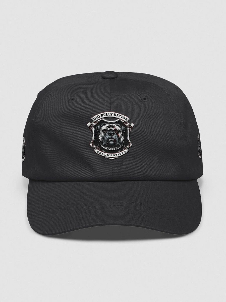 BBN Alter Ego Dad Hat product image (4)