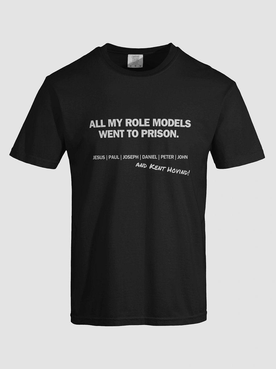All My Role Models Went To Prison product image (14)