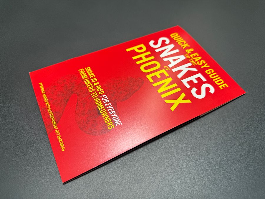 Snakes of Phoenix – Snake ID & Info For Everyone From Hikers To Homeowners product image (1)