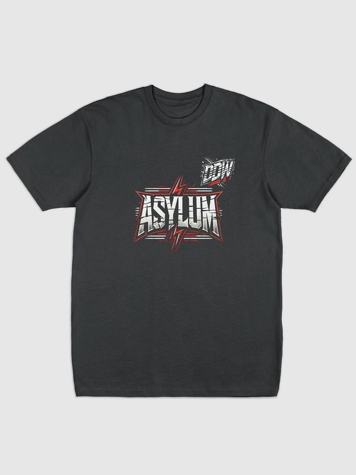 DDW ASYLUM HEAVY T-SHIRT product image (1)