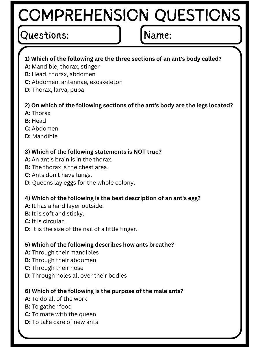 Ants Reading Comprehension Worksheet product image (3)