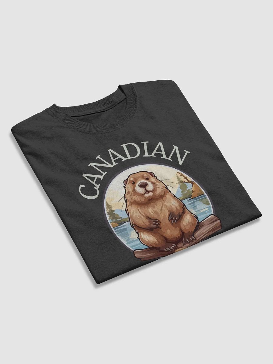 Canadian Destroyer T-shirt - Heavyweight Tee product image (3)