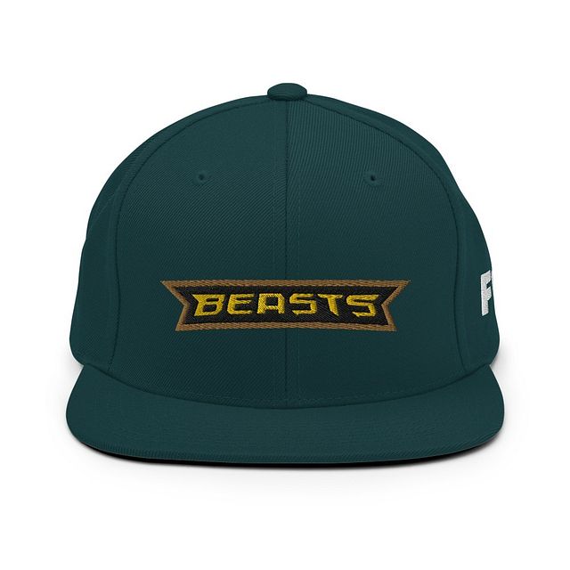 Beasts Classic Embroidered Snapback product image (1)