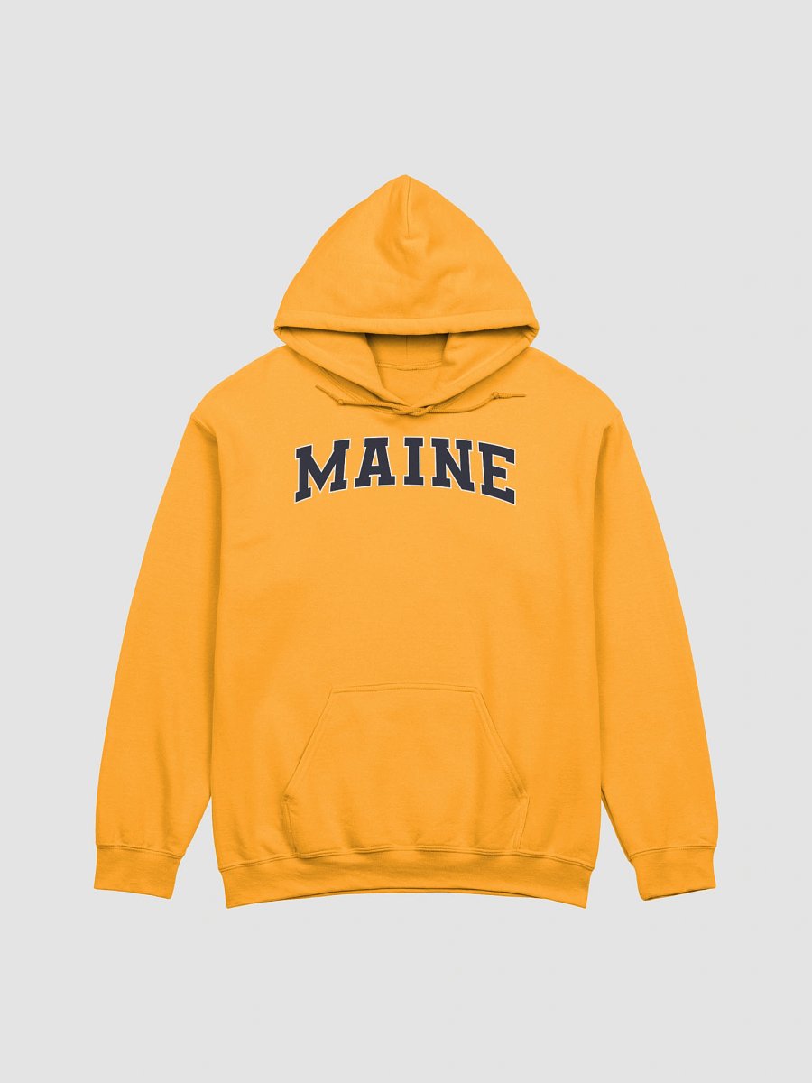 Maine Vintage Stylish Classic Hoodie product image (1)