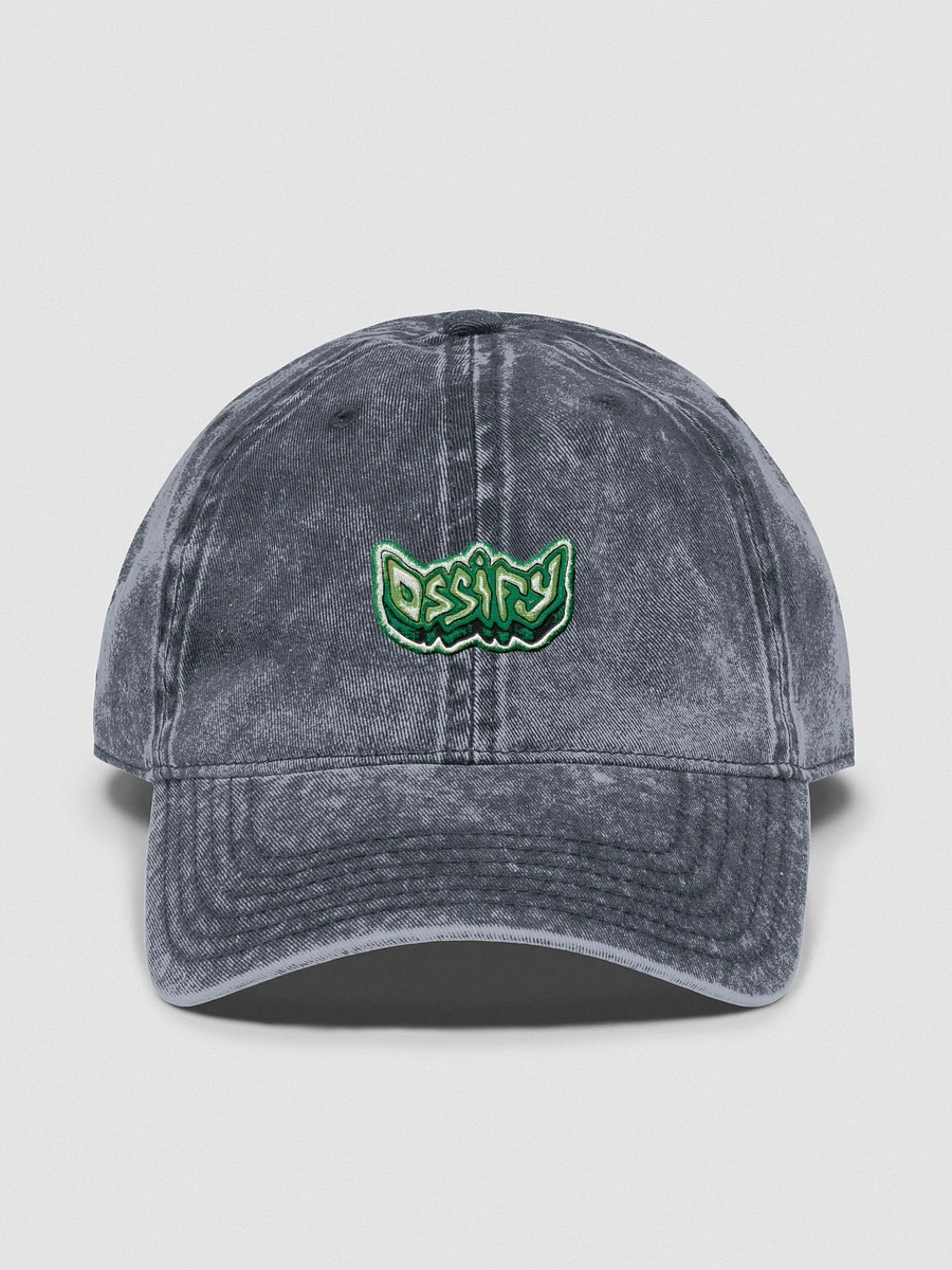 Ossify Embroidered Hat product image (1)