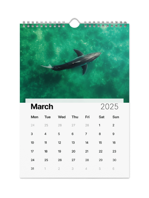 The Malibu Artist 2025 Calendar product image (4)
