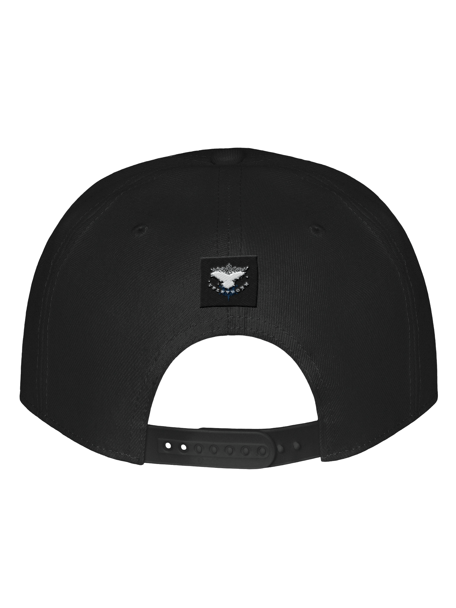 Ven Snapback product image (27)