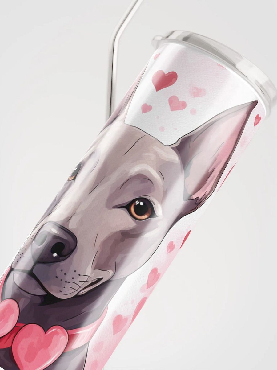 My American Hairless Terrier Dog Is My Valentine product image (5)