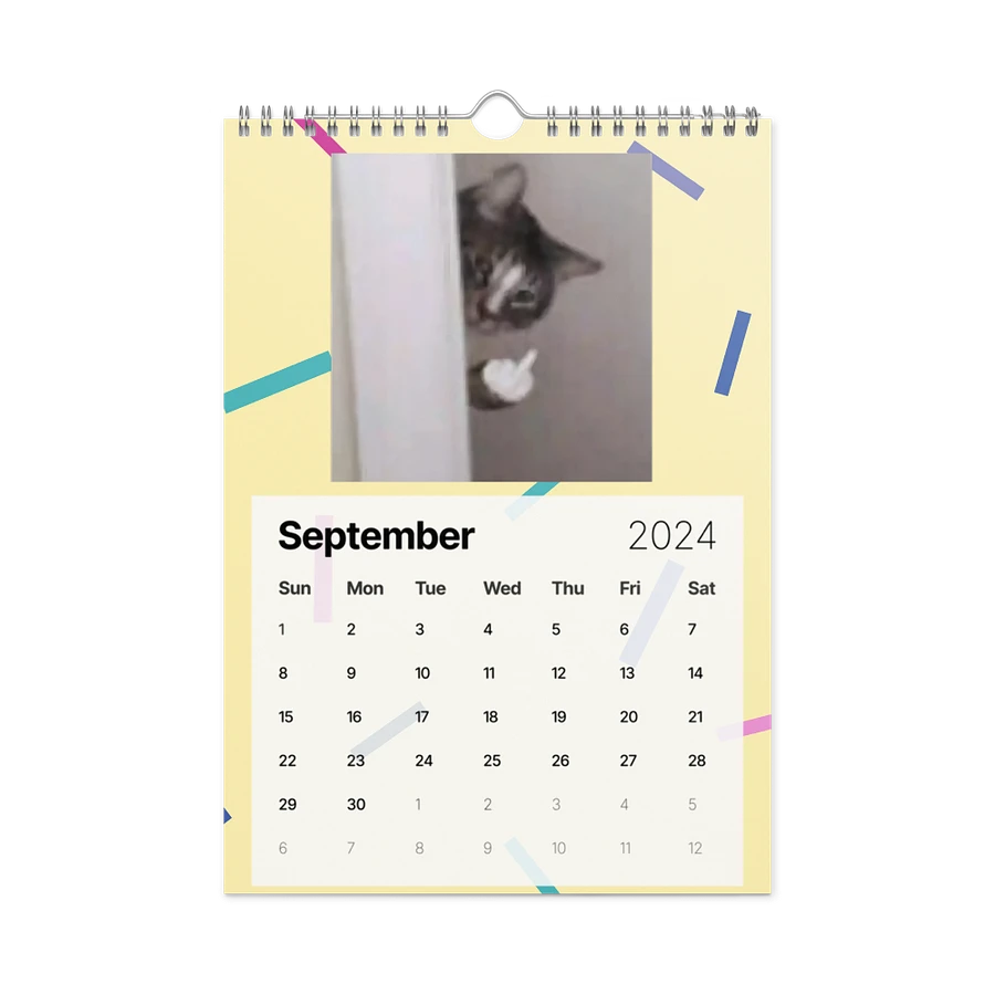 Wall Calendar (2024): Meme Cats product image (18)