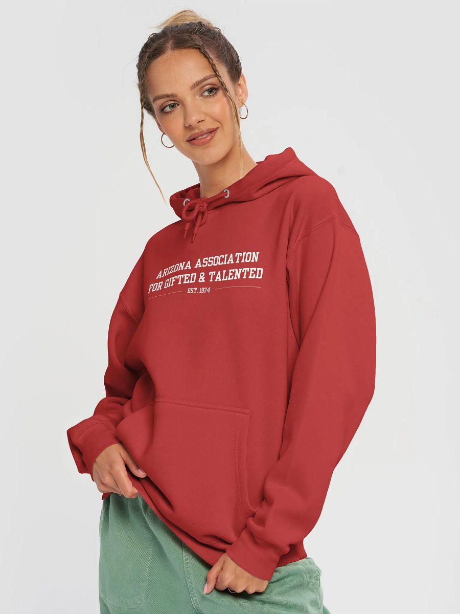 Collegiate AAGT Hoodie (Light Text) product image (3)