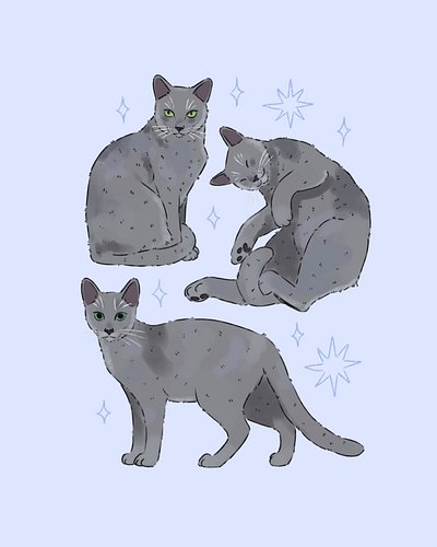 While I was drawing cats, I forgot to post these russian blue cats 💕 
Which pose is your favourite? Let me know in the commen...