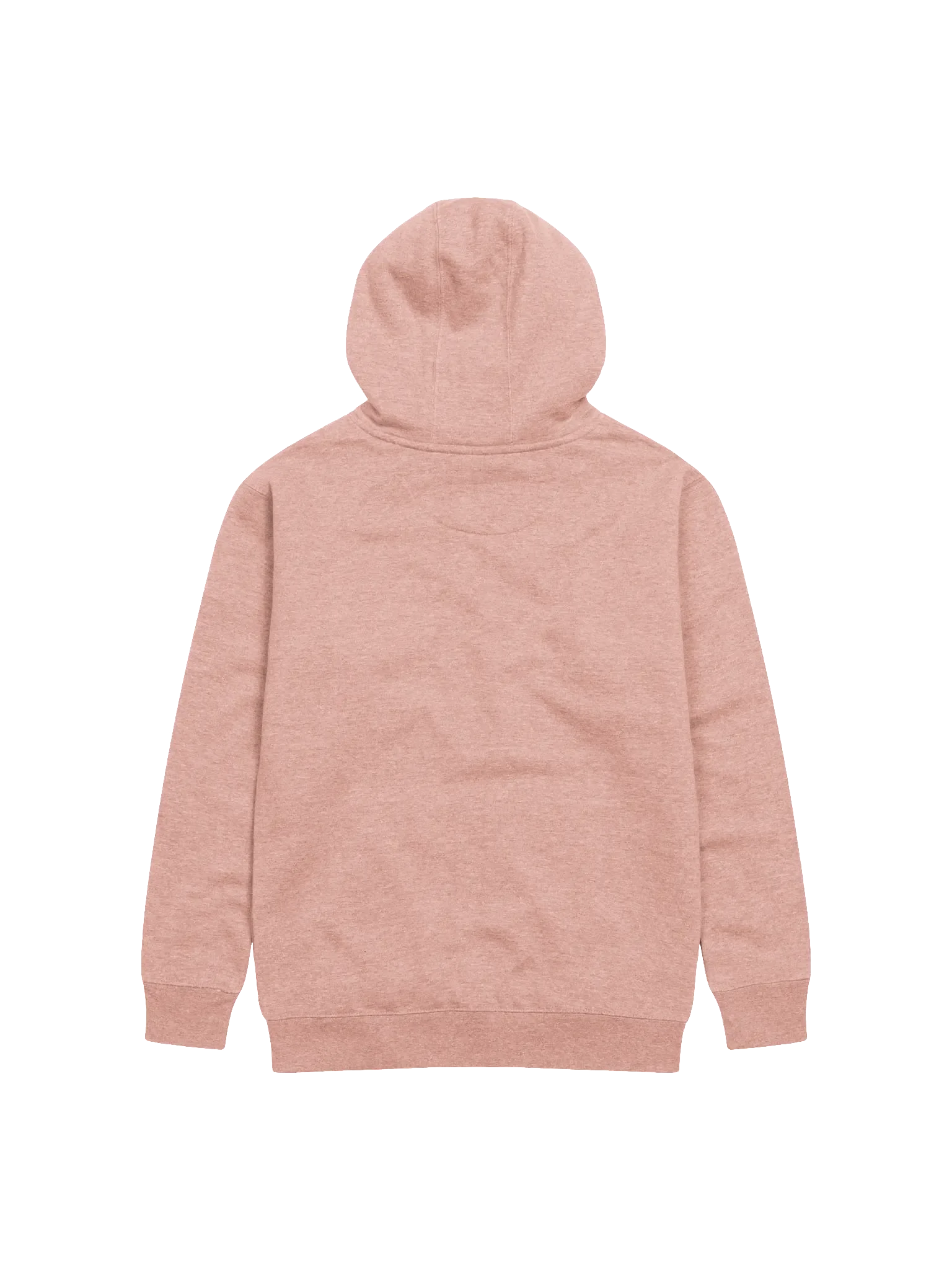 today is the day hoodie (gentle) product image (2)