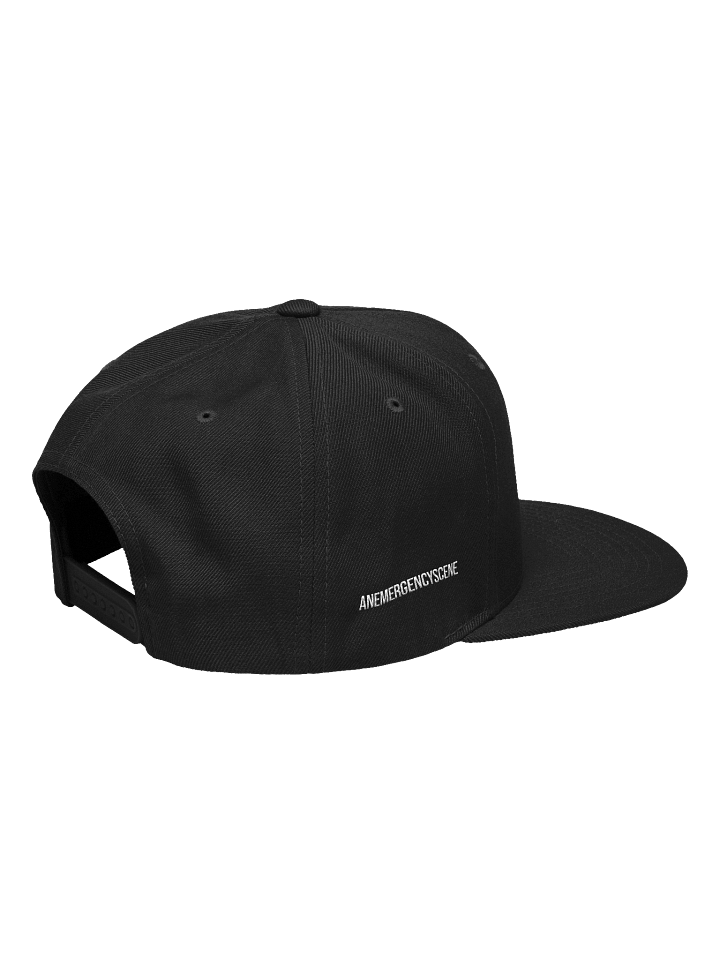 AES X Flatbrim Snapback product image (8)