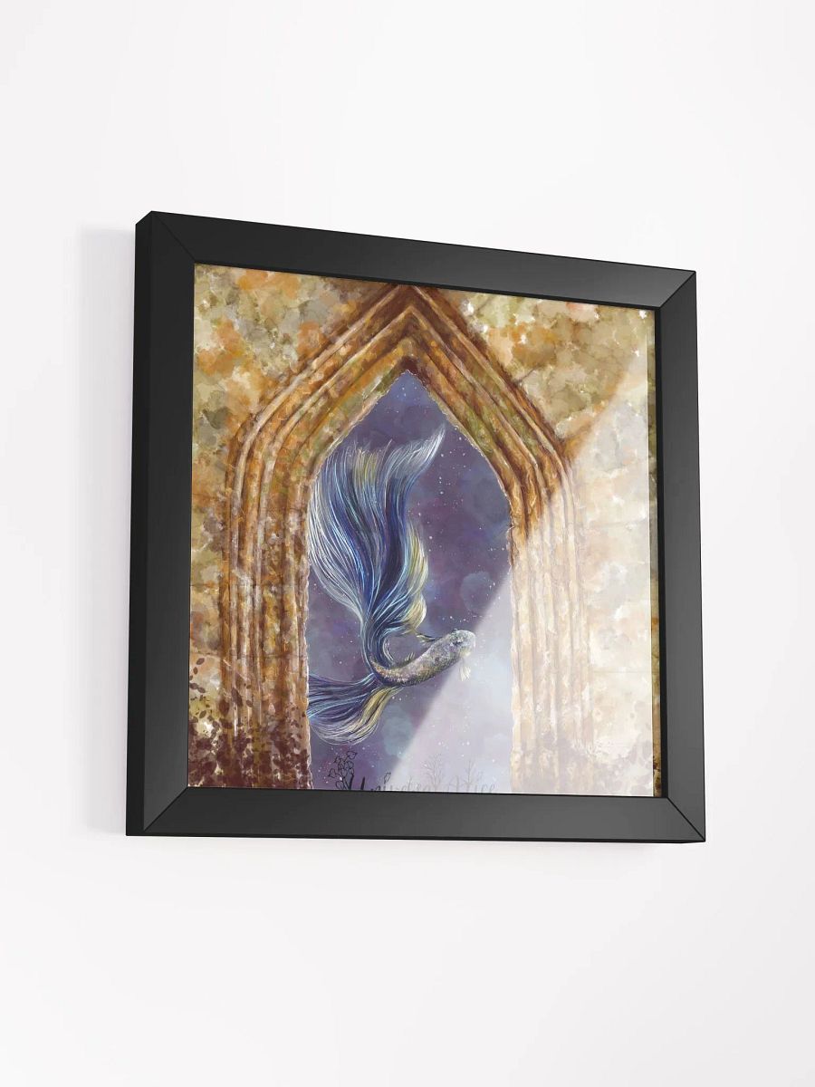 Framed Door product image (9)