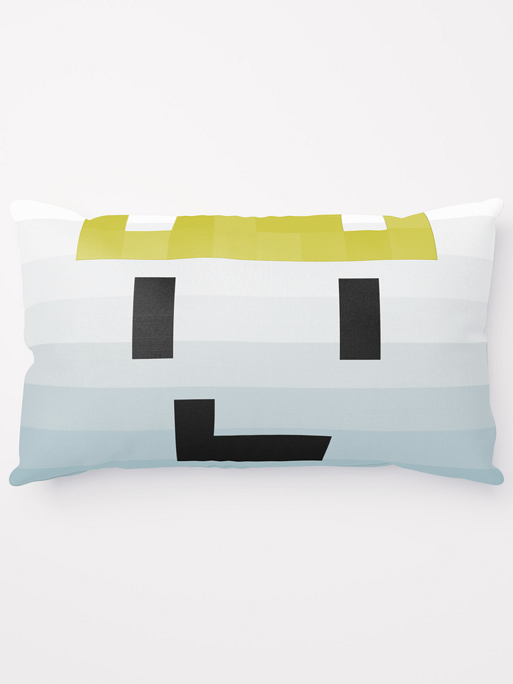 Coussin VLC product image (1)