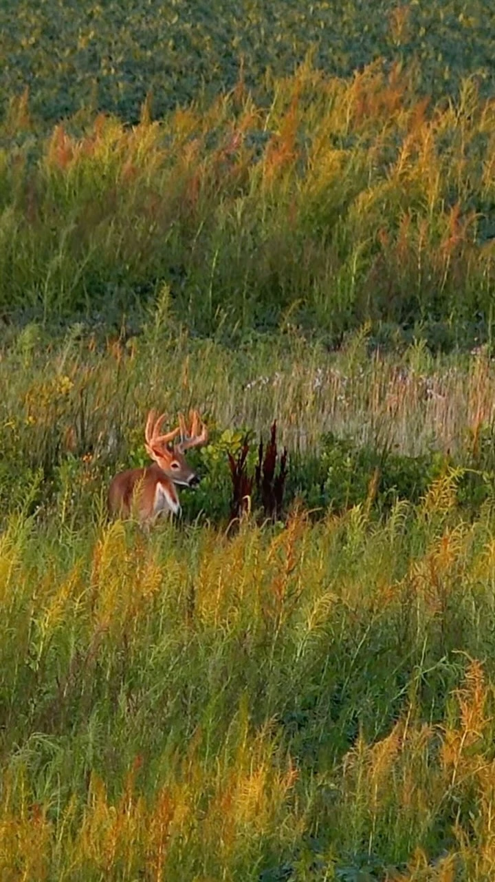 Just an old man in his element, getting out of bed for the last time.  He provided one heck of a chase and an amazing story. ...